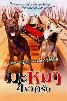 มะหมา 4 ขาครับ Mid Road Gang (2007) พากย์ไทย HD
