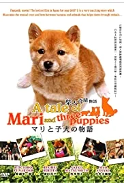 A Tale of Mari and Three Puppies (2007) เพื่อนซื่อ… ชื่อ มาริ พากย์ไทย HD