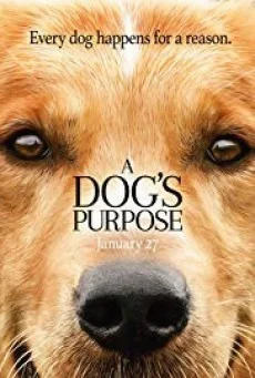 A DOG’S PURPOSE (2017) หมา เป้าหมาย และเด็กชายของผม พากย์ไทย