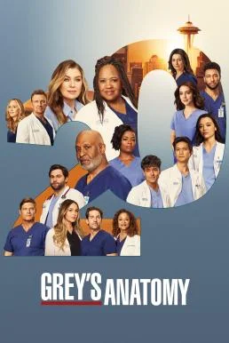 Grey's Anatomy แพทย์มือใหม่หัวใจเกินร้อย Season 20 (2024) บรรยายไทย ซับไทย HD