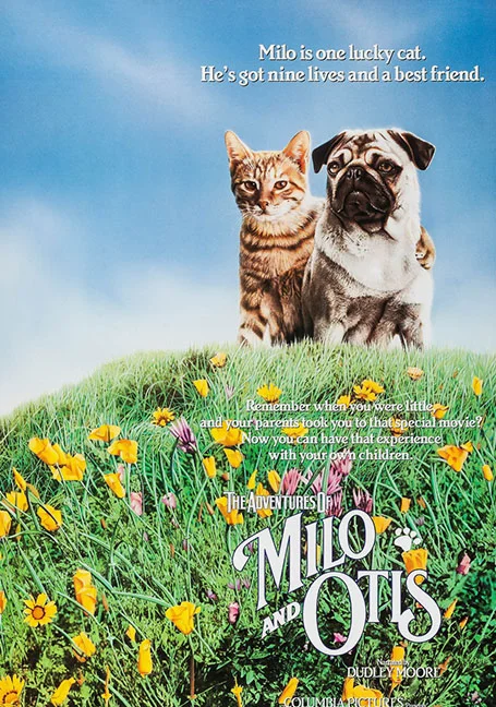 The Adventures of Milo and Otis (1986) แมวจ๋าหมาอยู่นี่ พากย์ไทย HD