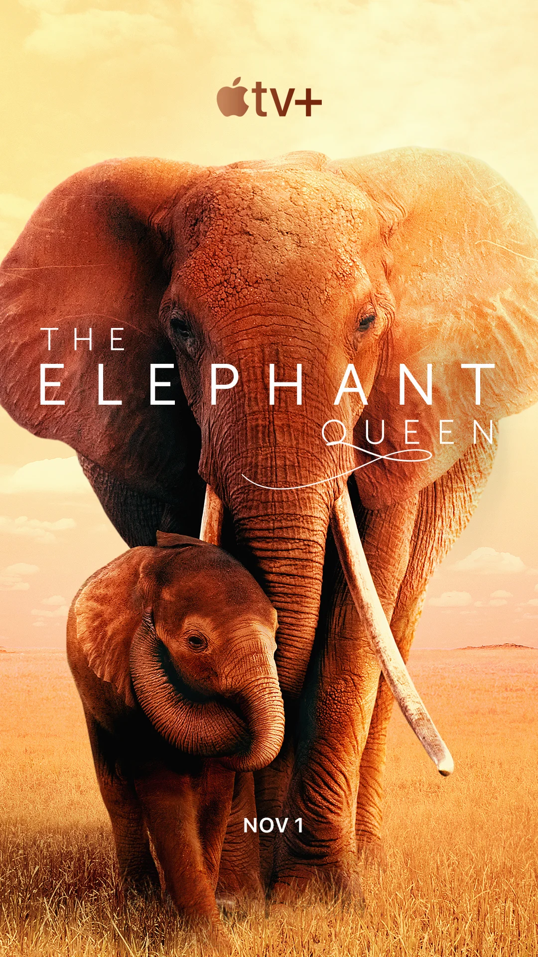 The Elephant Queen (2019) อัศจรรย์ราชินีแห่งช้าง พากย์ไทย HD