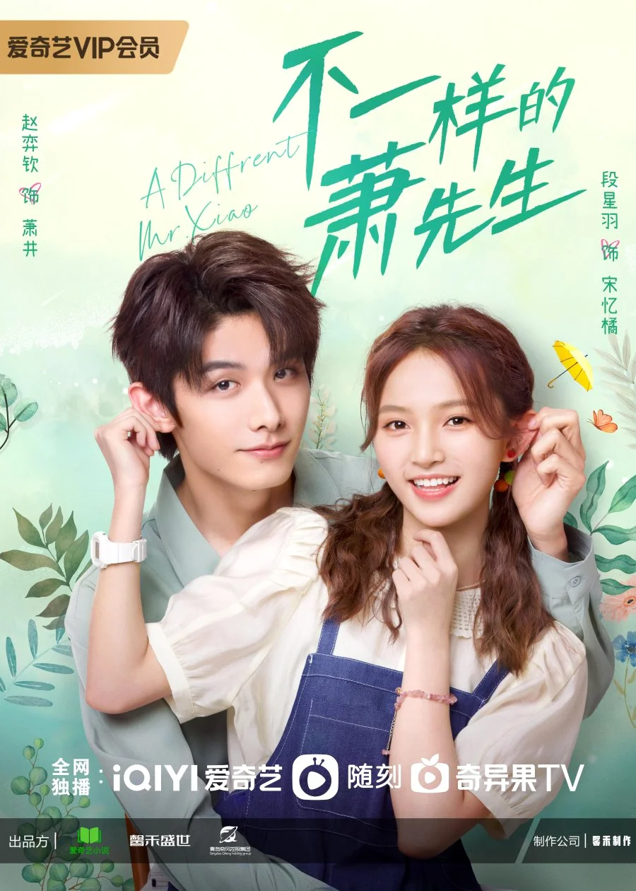 ซีรี่ย์จีน A Different Mr. Xiao (2023) หมอแปลก เซียวเซียนเซิง ซับไทย
