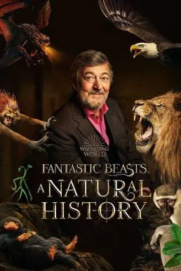 Fantastic Beasts: A Natural History (2022) บรรยายไทย สารคดีสัตว์วิเศษ ซับไทย