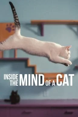 Inside the Mind of a Cat (2022) NETFLIX พากย์ไทย HD