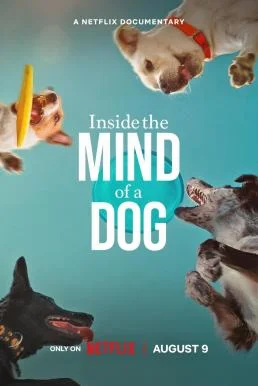 Inside the Mind of a Dog อ่านใจสุนัข พากย์ไทย HD