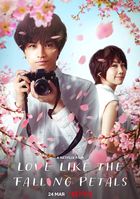 Love Like the Falling Petals (2022) ใบไม้ผลิที่ไม่มีเธอเป็นซากุระ พากย์ไทย