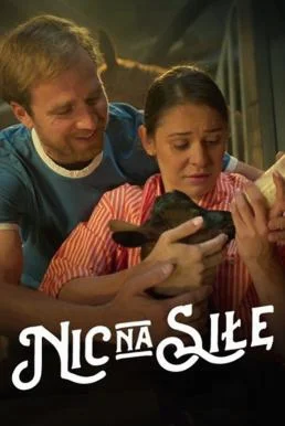 No Pressure (Nic na sile) รักไม่กดดัน NETFLIX บรรยายไทย ซับไทย