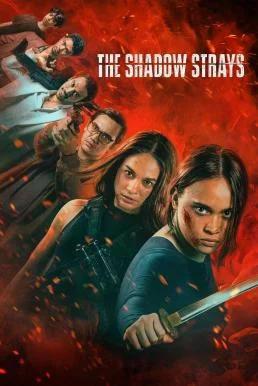 The Shadow Strays นักฆ่าเงาล่าทรชน (2024) NETFLIX พากย์ไทย