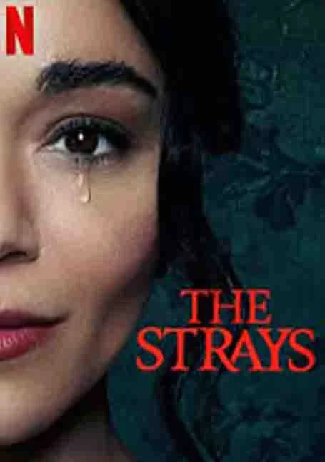 The Strays (2023) หนังฟรี พากย์ไทย