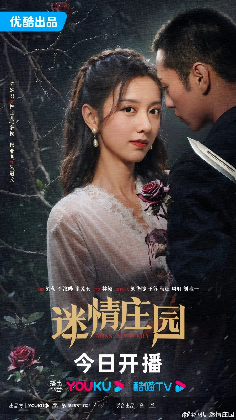 ซีรี่ย์จีน Miss Mystery (2023) ปริศนาจำแลงรัก ซับไทย หนังฟรี